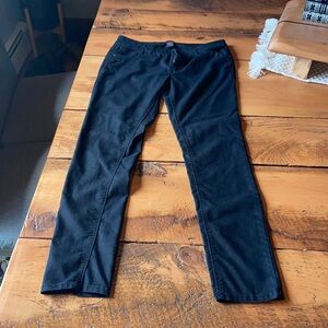 Euc size 29 black skinny pants tinsel brand very versatile for work or casual